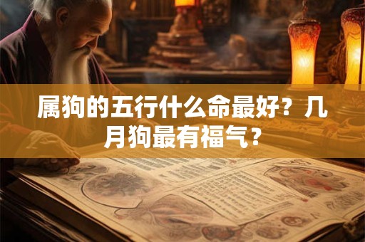 属狗的五行什么命最好？几月狗最有福气？