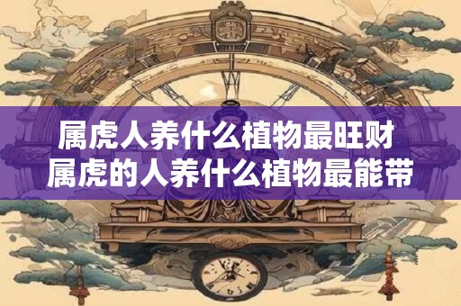属虎人养什么植物最旺财 属虎的人养什么植物最能带来财运