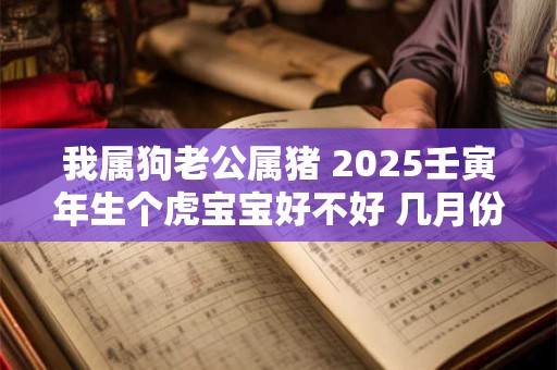 我属狗老公属猪 2025壬寅年生个虎宝宝好不好 几月份的虎宝宝有福气