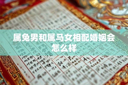 属兔男和属马女相配婚姻会怎么样