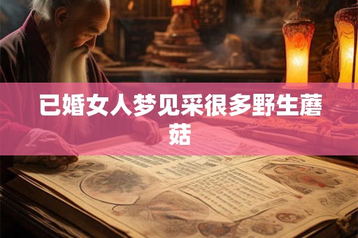 已婚女人梦见采很多野生蘑菇