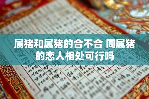 属猪和属猪的合不合 同属猪的恋人相处可行吗