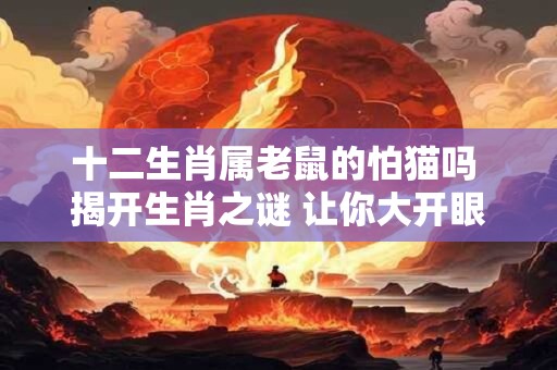 十二生肖属老鼠的怕猫吗 揭开生肖之谜 让你大开眼界！