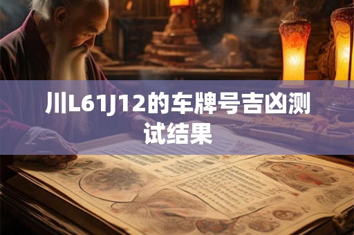 川L61J12的车牌号吉凶测试结果