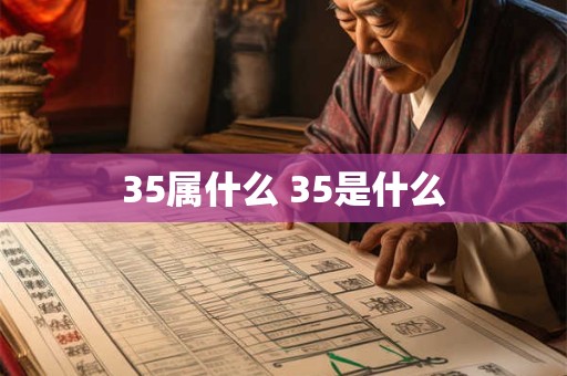 35属什么 35是什么
