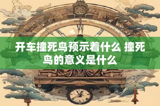 开车撞死鸟预示着什么 撞死鸟的意义是什么
