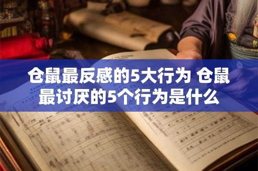 仓鼠最反感的5大行为 仓鼠最讨厌的5个行为是什么 仓鼠最反感的5大行为 仓鼠最讨厌的5个行为是什么