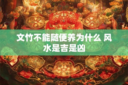 文竹不能随便养为什么 风水是吉是凶