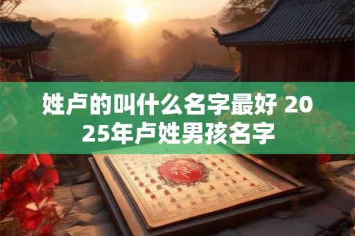 姓卢的叫什么名字最好 2025年卢姓男孩名字