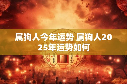 属狗人今年运势 属狗人2025年运势如何