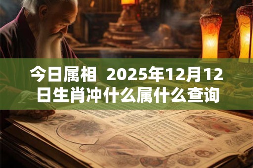 今日属相  2025年12月12日生肖冲什么属什么查询
