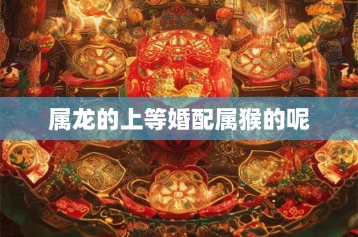 属龙的上等婚配属猴的呢
