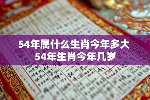 54年属什么生肖今年多大 54年生肖今年几岁
