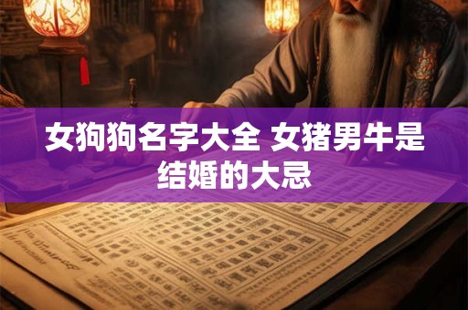 女狗狗名字大全 女猪男牛是结婚的大忌