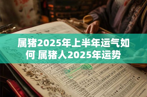 属猪2025年上半年运气如何 属猪人2025年运势