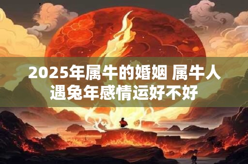 2026年属牛的婚姻 属牛人遇兔年感情运好不好 2026年属牛的婚姻 属牛人遇兔年感情运好不好