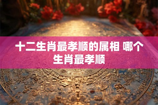 十二生肖最孝顺的属相 哪个生肖最孝顺