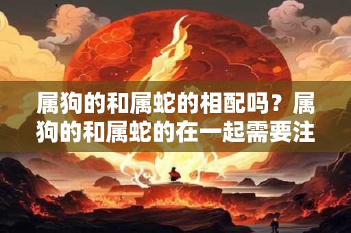 属狗的和属蛇的相配吗？属狗的和属蛇的在一起需要注意什么？