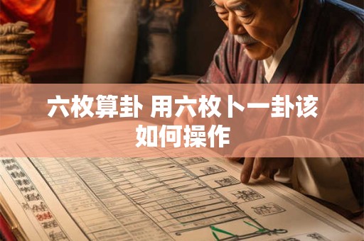 六枚算卦 用六枚卜一卦该如何操作