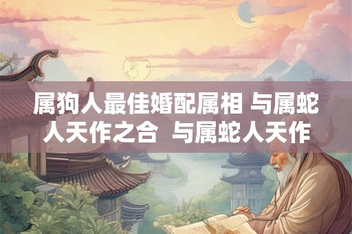 属狗人最佳婚配属相 与属蛇人天作之合  与属蛇人天作之合