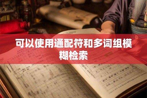 可以使用通配符和多词组模糊检索