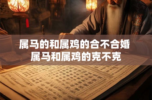 属马的和属鸡的合不合婚 属马和属鸡的克不克