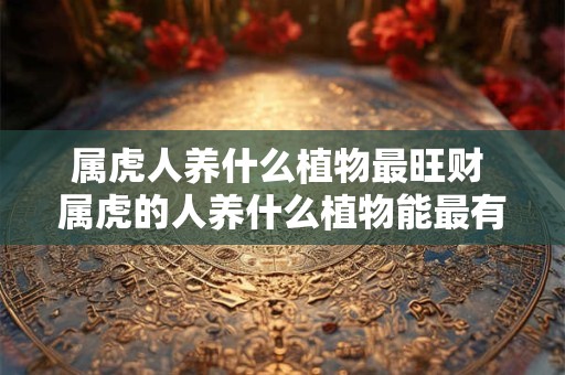 属虎人养什么植物最旺财 属虎的人养什么植物能最有效地招财纳福