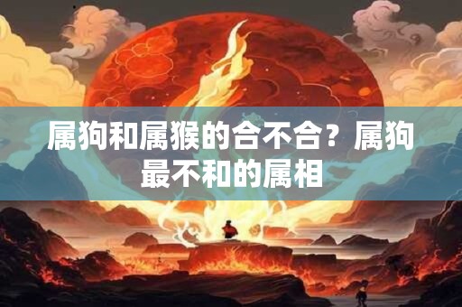 属狗和属猴的合不合？属狗最不和的属相