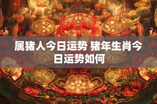 属猪人今日运势 猪年生肖今日运势如何