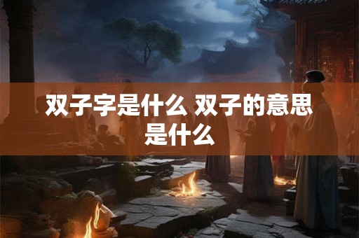 双子字是什么 双子的意思是什么