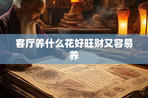 客厅养什么花好旺财又容易养