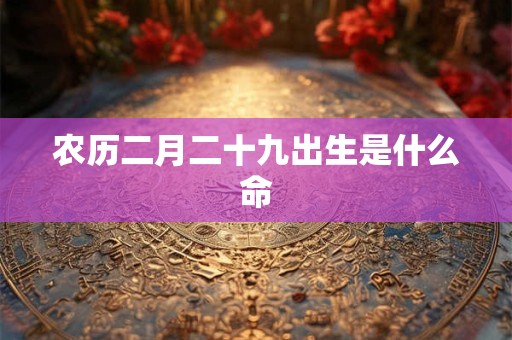 农历二月二十九出生是什么命
