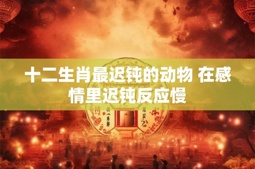 十二生肖最迟钝的动物 在感情里迟钝反应慢