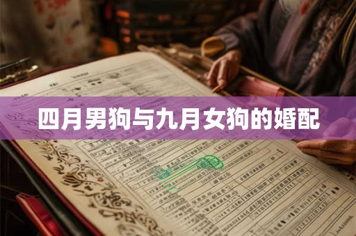 四月男狗与九月女狗的婚配