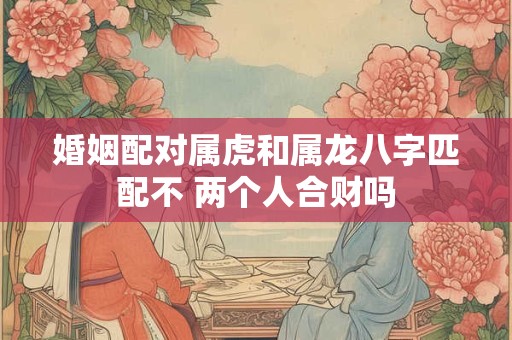 婚姻配对属虎和属龙八字匹配不 两个人合财吗