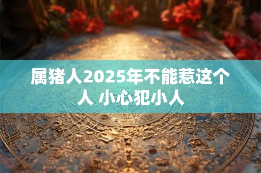 属猪人2025年不能惹这个人 小心犯小人
