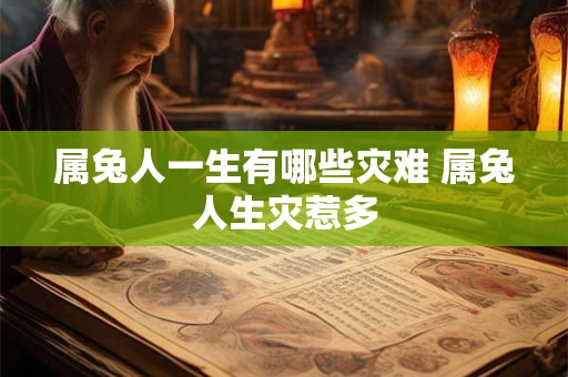 属兔人一生有哪些灾难 属兔人生灾惹多
