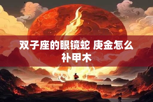双子座的眼镜蛇 庚金怎么补甲木