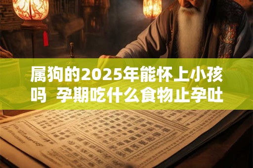 属狗的2025年能怀上小孩吗  孕期吃什么食物止孕吐