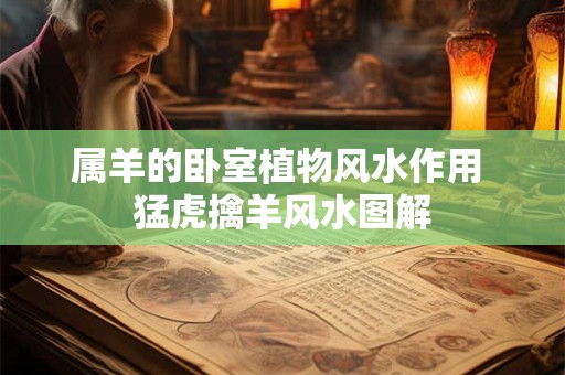 属羊的卧室植物风水作用 猛虎擒羊风水图解