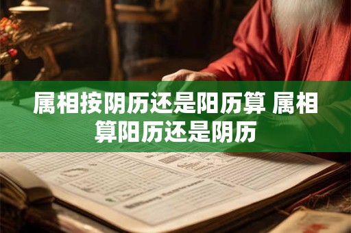 属相按阴历还是阳历算 属相算阳历还是阴历