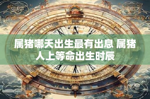 属猪哪天出生最有出息 属猪人上等命出生时辰