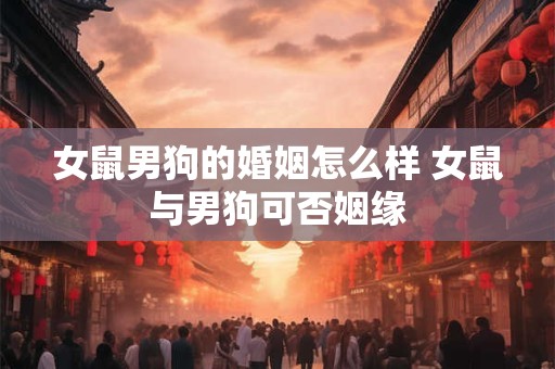 女鼠男狗的婚姻怎么样 女鼠与男狗可否姻缘