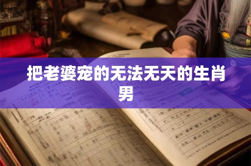 把老婆宠的无法无天的生肖男