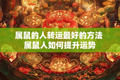属鼠的人转运最好的方法 属鼠人如何提升运势