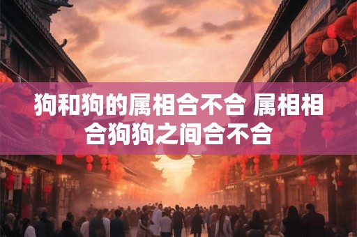 狗和狗的属相合不合 属相相合狗狗之间合不合