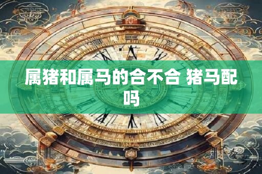 属猪和属马的合不合 猪马配吗