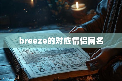 breeze的对应情侣网名