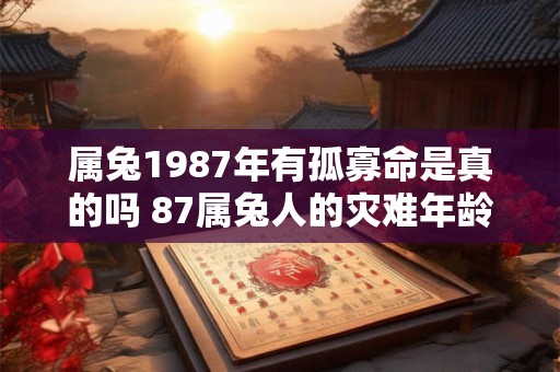 属兔1987年有孤寡命是真的吗 87属兔人的灾难年龄