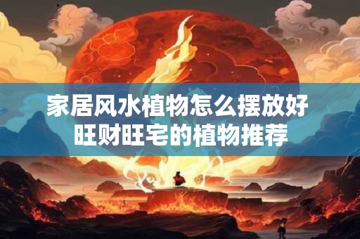 家居风水植物怎么摆放好 旺财旺宅的植物推荐